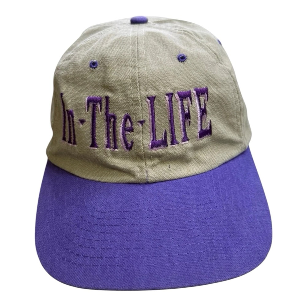 Vintage Nissin In The Life Strapback Hat Rainbow Patch Purple Tan Cap USA